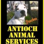Antioch Animal Shelter